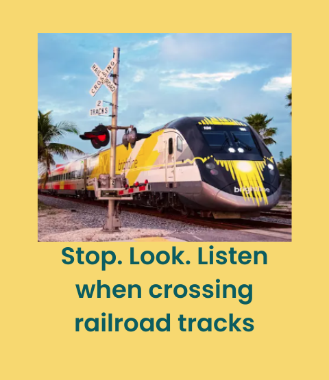 Operation Crossing Guard