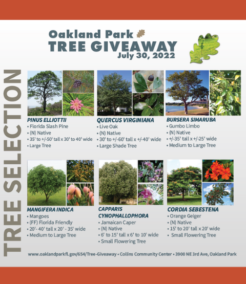 tree giveaway