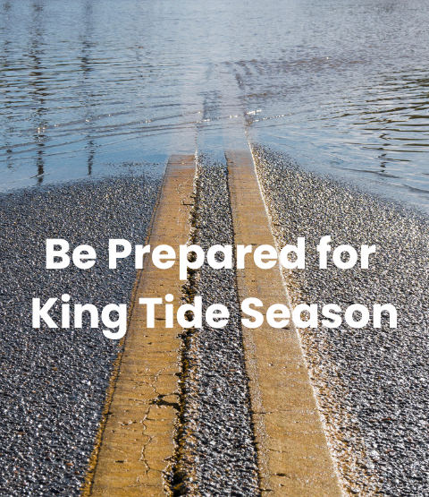 Photo of road with standing water