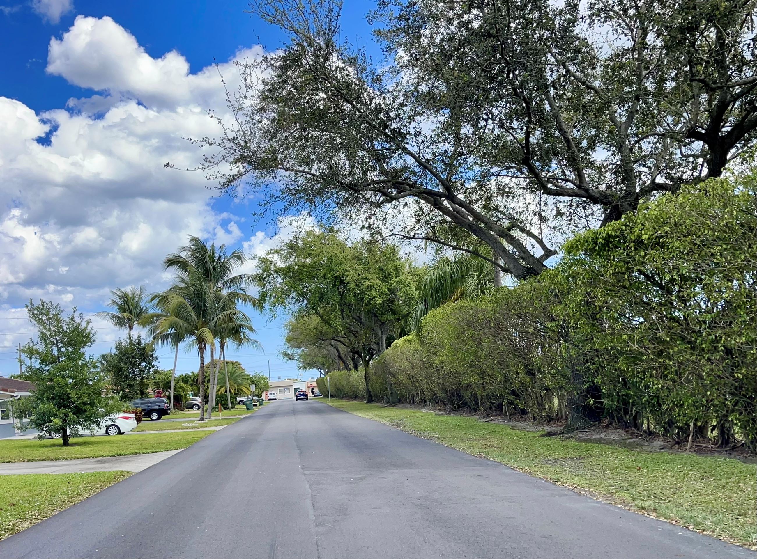 Photo of NE 41st Street with new pavement